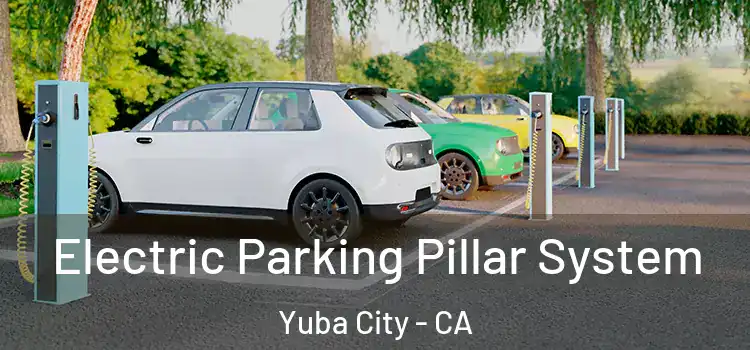 Electric Parking Pillar System Yuba City - CA